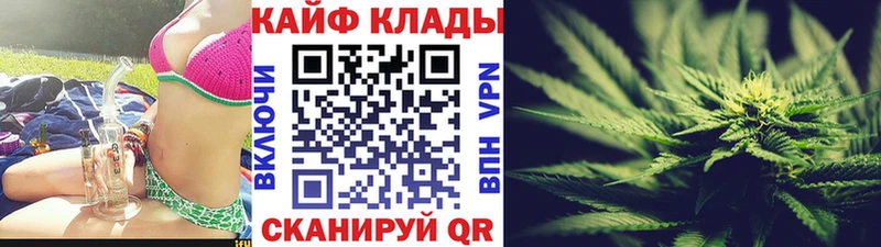 Купить наркоту Новоузенск Конопля  АМФ  ГАШ  omg маркетплейс  Меф мяу мяу  МЕТАДОН  COCAIN  Alpha-PVP 