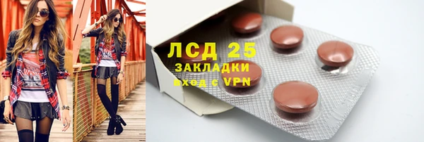 ПСИЛОЦИБИНОВЫЕ ГРИБЫ Новодвинск