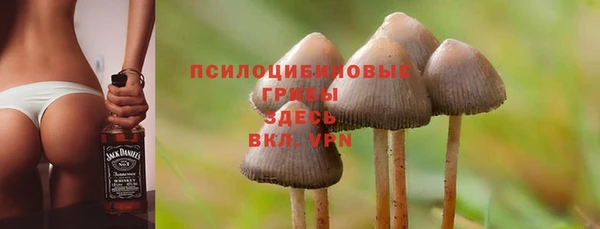 марки nbome Богданович