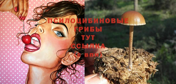 марки nbome Богданович