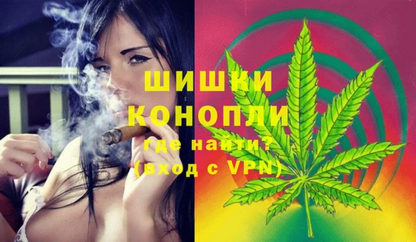 стафф Богородск