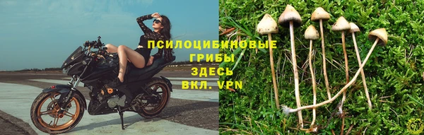 марки nbome Богданович