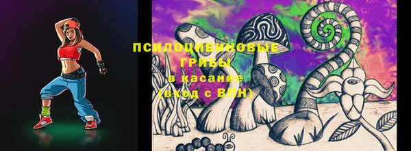 стафф Богородск