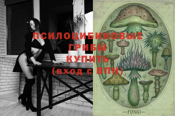 марки nbome Богданович