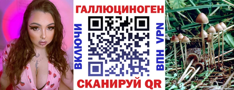 Псилоцибиновые грибы мицелий  сколько стоит  Новоузенск 
